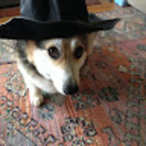 Meet your Posher, Joyce